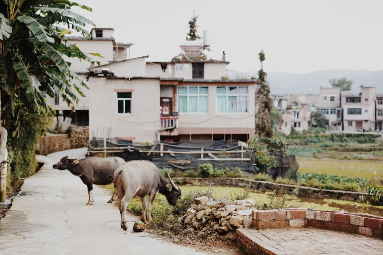 The Twelve Manor•Terraces Lodge Ян'янг Екстер'єр фото